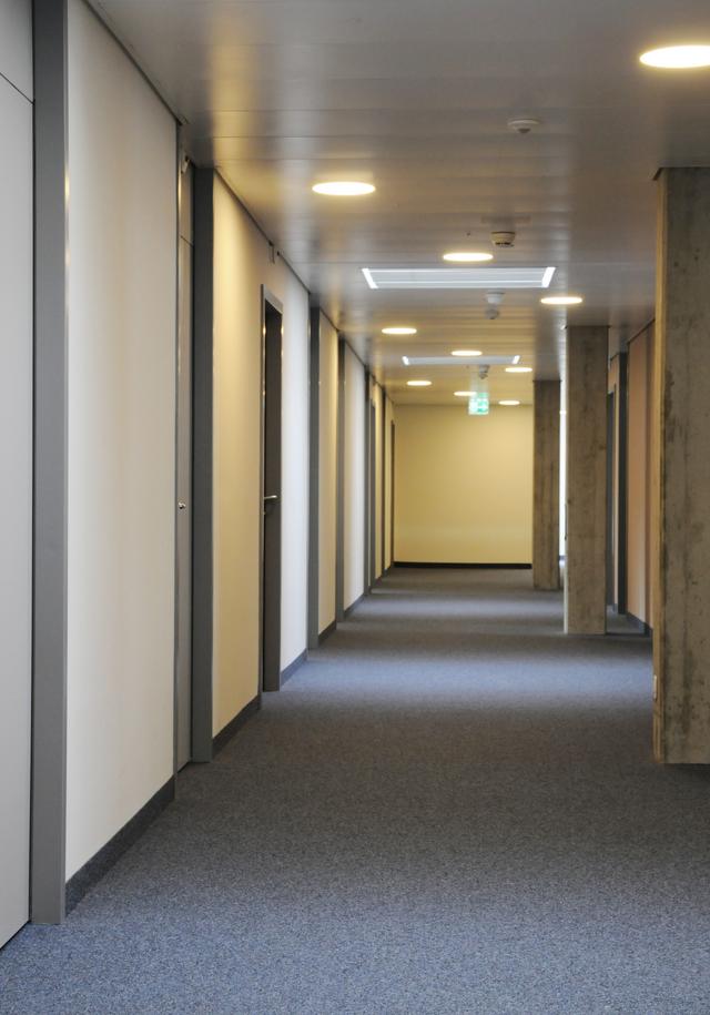 Umbau Zimmerappartements, Zürich